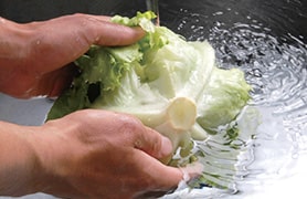 野菜の洗浄